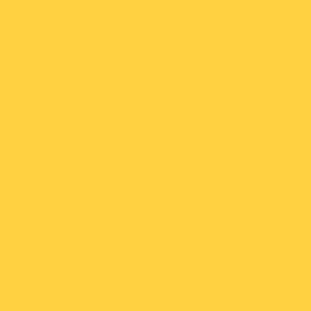 PayPal logo on yellow